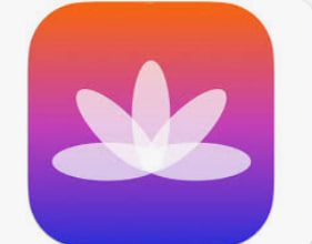 flysheep资源避难所